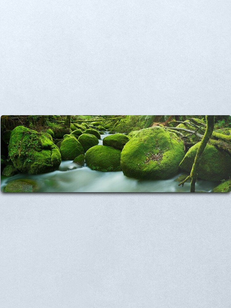 Alternate view of Greenery, Toorongo River, Gippsland, Victoria, Australia Metal Print