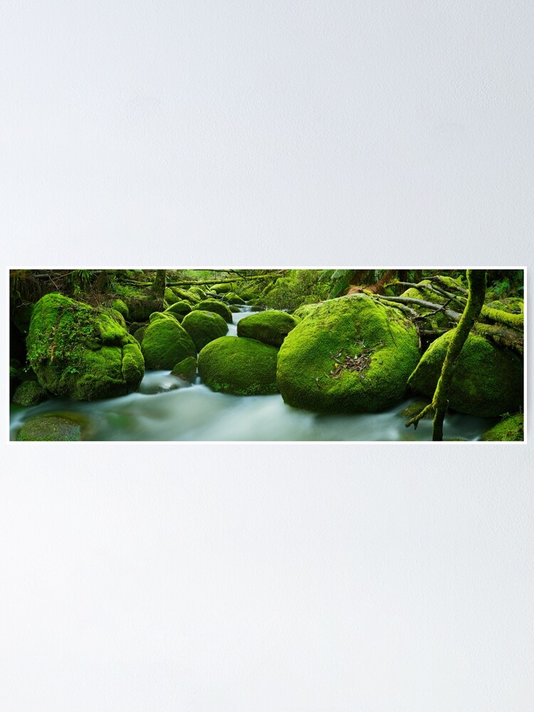 Thumbnail 1 of 3, Poster, Greenery, Toorongo River, Gippsland, Victoria, Australia designed and sold by Chockstone.