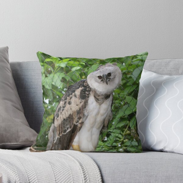 Item preview, Harpy Eagle  designed and sold by AviarylifeMag.