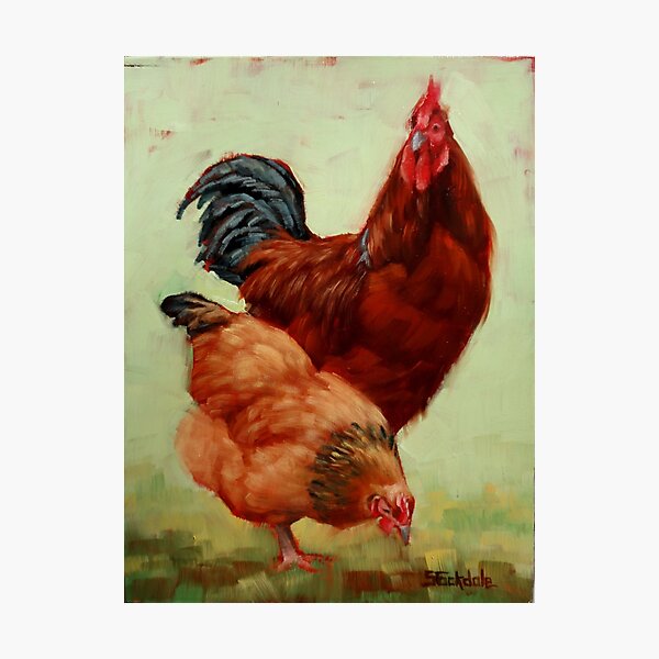 Barnyard Buddies Photographic Print