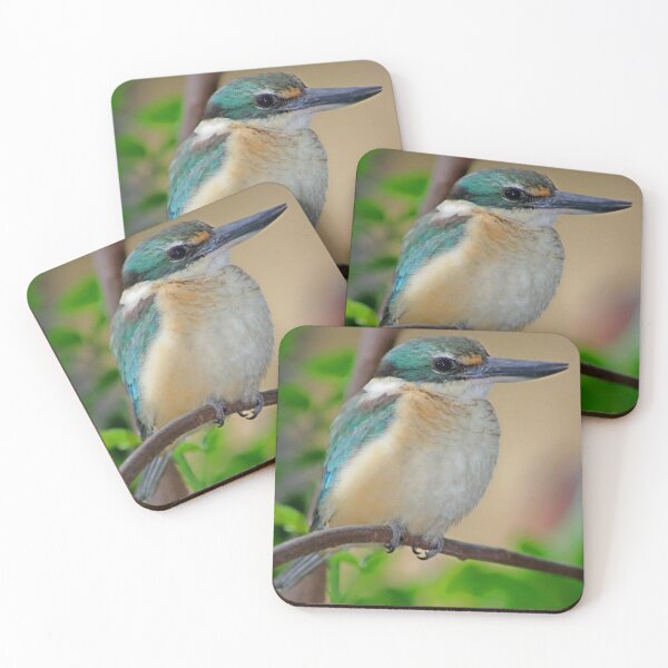 Item preview, Sacred Kingfisher  designed and sold by AviarylifeMag.