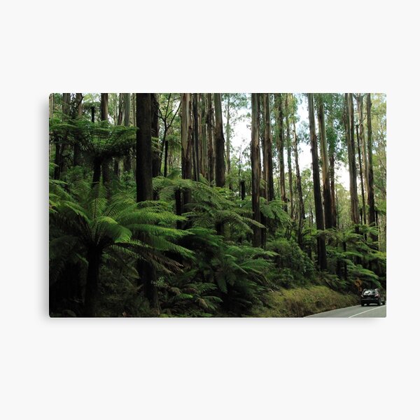 Item preview, Black Spur Drive designed and sold by kelliejane.