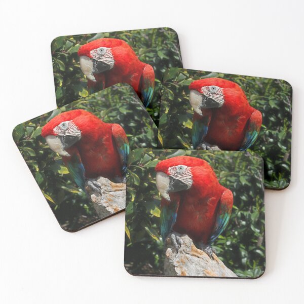 Item preview, Green-winged Macaw designed and sold by AviarylifeMag.