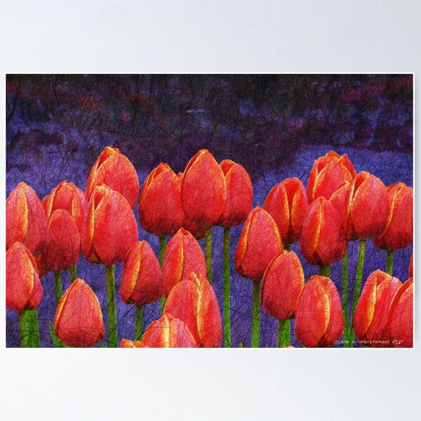Item preview, janes tulips designed and sold by R Christopher  Vest.