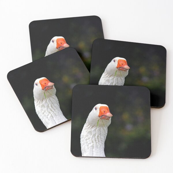 Item preview, © Domestic white goose designed and sold by GeoPipics.