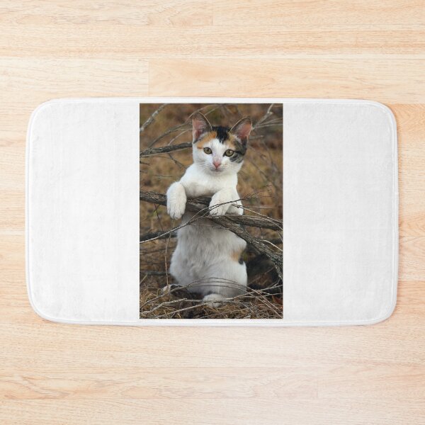 Item preview, KittyCat designed and sold by Tracey66.