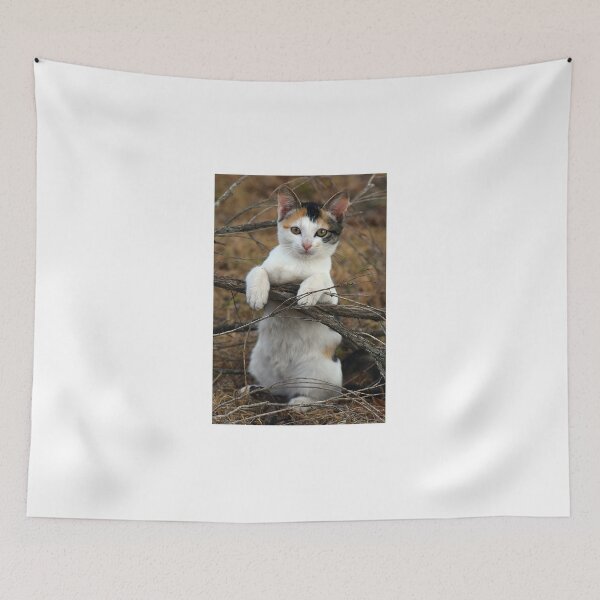 Item preview, KittyCat designed and sold by Tracey66.