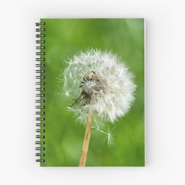 Item preview, Dandelion seeds ready to fly designed and sold by ag-photography.