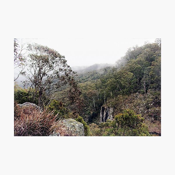 Item preview, High in the clouds at Ebor, NSW designed and sold by Clare Colins.