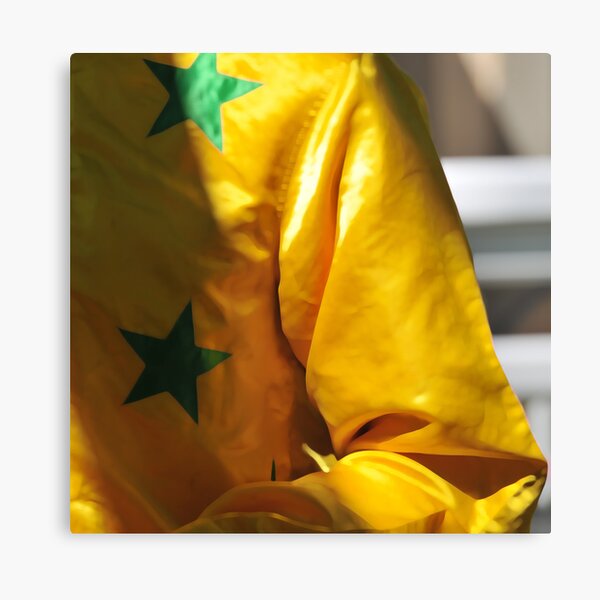 Casak 10 Canvas Print