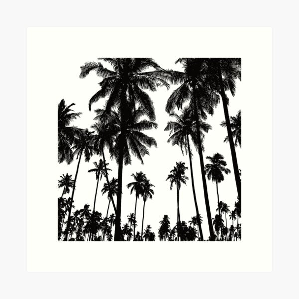 Vista previa del artículo con la obra «Palmera silueta -», diseñado y vendido por onjcdesign.