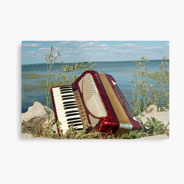 The Red Accordion Metal Print