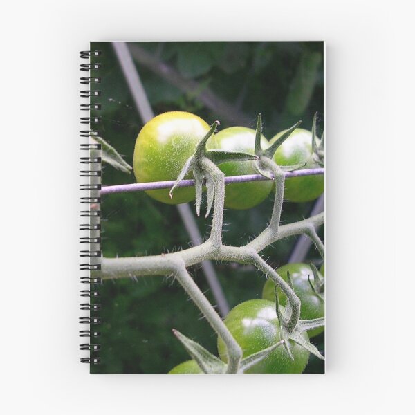 Item preview, My Self-Sufficient Tomatoes designed and sold by lezvee.