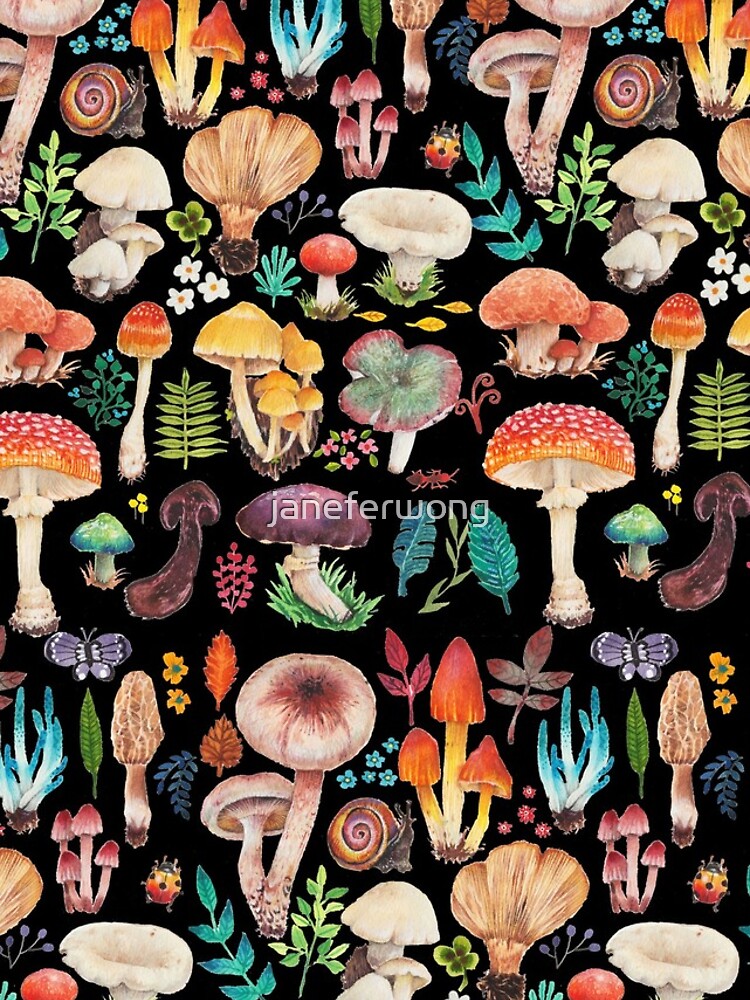 Pattern - colorful hand draw fungus by janeferwong