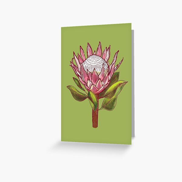 King Protea Colour IV Greeting Card