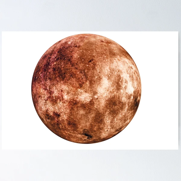【新品】MOON TREE PLANET - ZUKIN brown fposter,small,wall_texture,