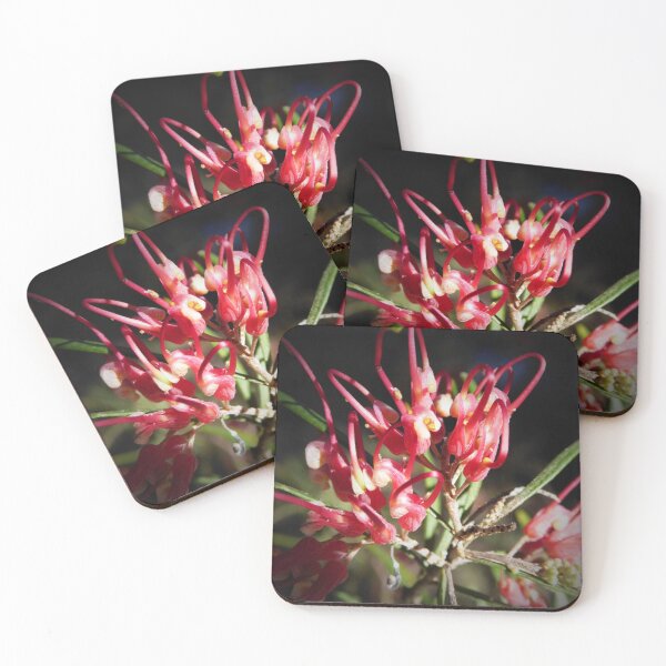 Item preview,  Grevillea Flower in our new garden. Australian Native. Tea Tree Gully. Sth. Australia.  designed and sold by RitaBlom.