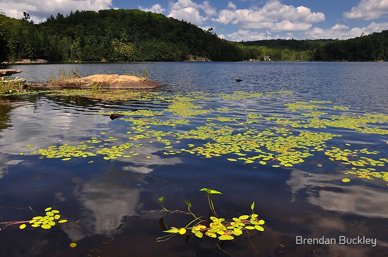 "Bear Lake - Ontario, Canada." by Brendan Buckley | Redbubble