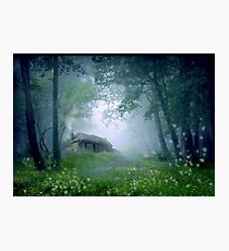 The Cottage in the Woods Photographic Print