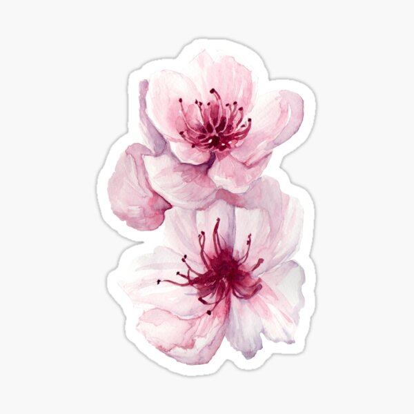 Peach Blossom Sticker
