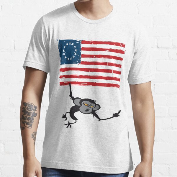 13 Star American Flag With Stars Sewn In The Betsy Ross Pattern At - Foto 3