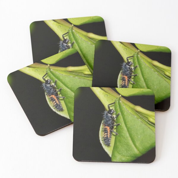 Item preview, Ladybird Larvae  designed and sold by AnnDixon.