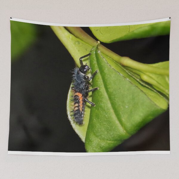 Item preview, Ladybird Larvae  designed and sold by AnnDixon.