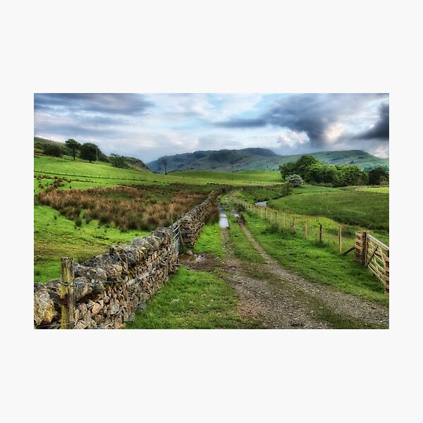 Aperçu de l'œuvre Walking the land créée et vendue par Southernlass.
