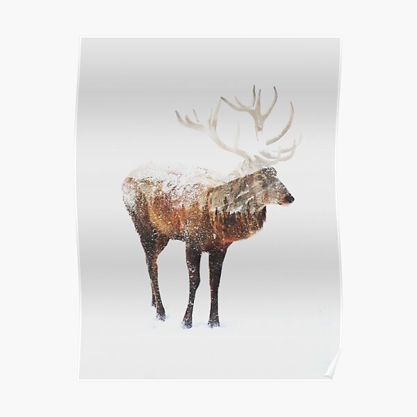 Arctic Deer Poster