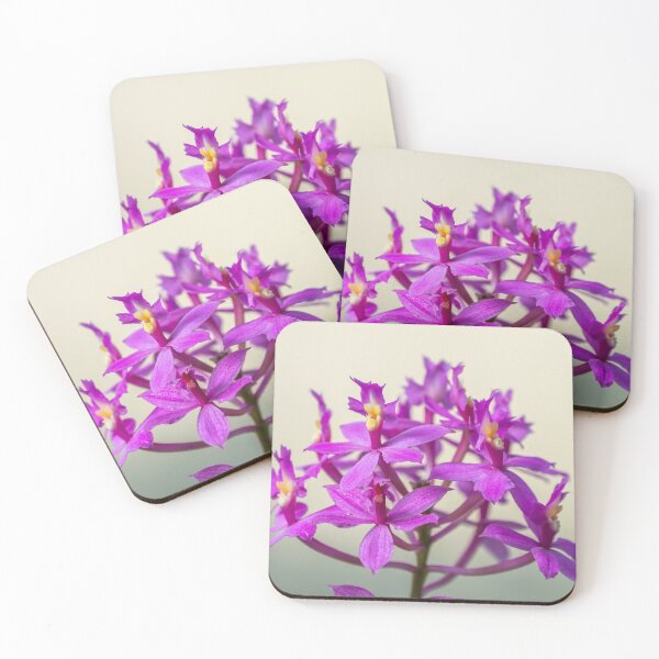 Item preview, Epi Pretty Lady Misumi Orchid Flowers designed and sold by Chee Sim.