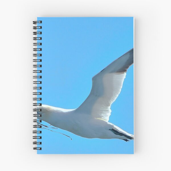 Item preview, Gannet designed and sold by Jean-Luc Rollier.