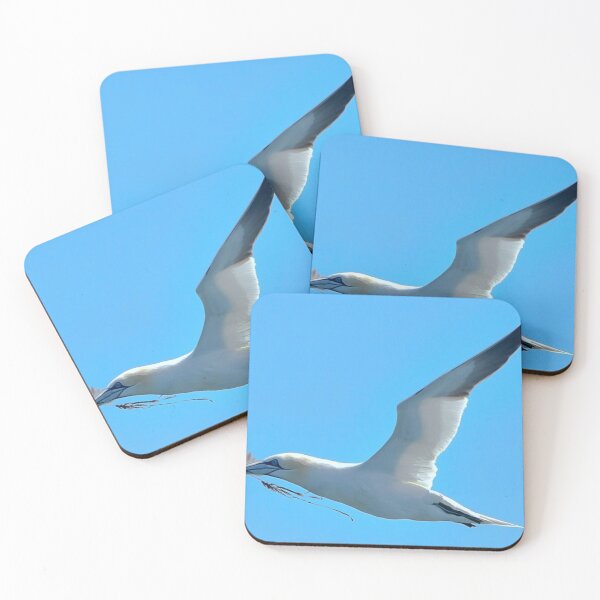 Item preview, Gannet designed and sold by Jean-Luc Rollier.