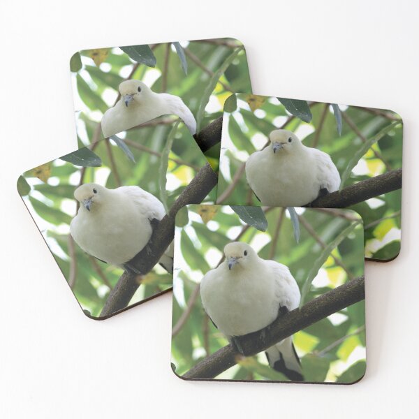 Item preview, Ducula bicolor designed and sold by Mythos57.