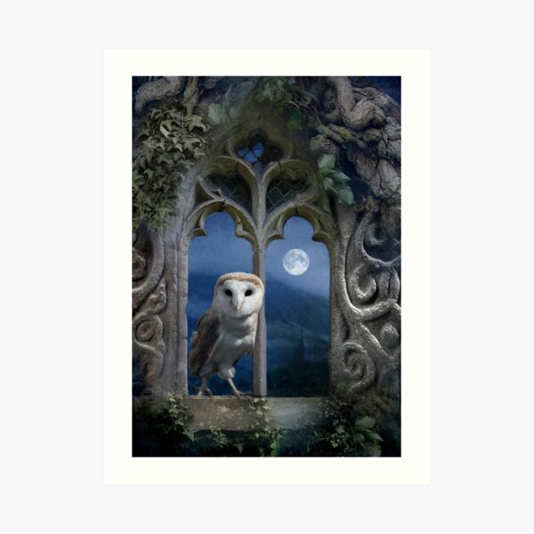 Evening Falls Art Print