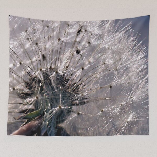 Item preview, Wishes Do Come True designed and sold by Carla Jensen.