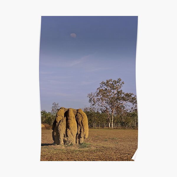 Mareeba,termite mounds Poster