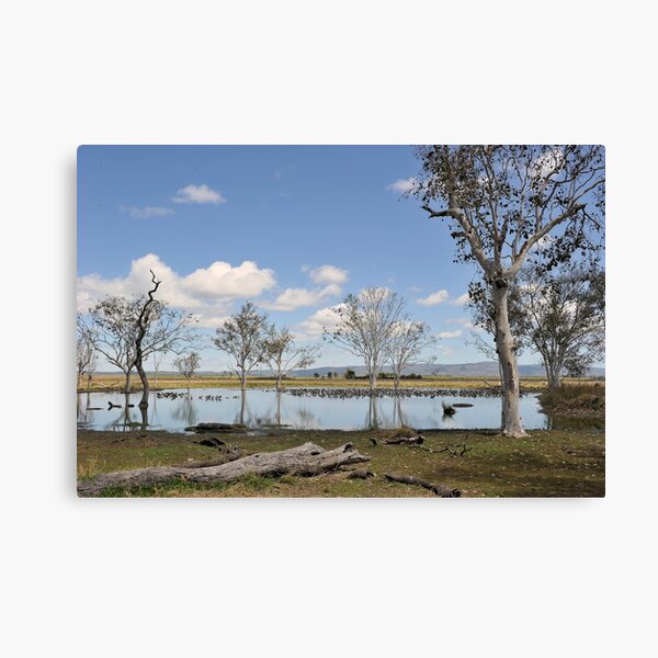 Mareeba,Lake Mitchell Canvas Print