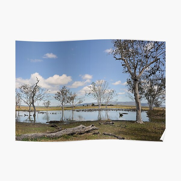 Mareeba,Lake Mitchell Poster