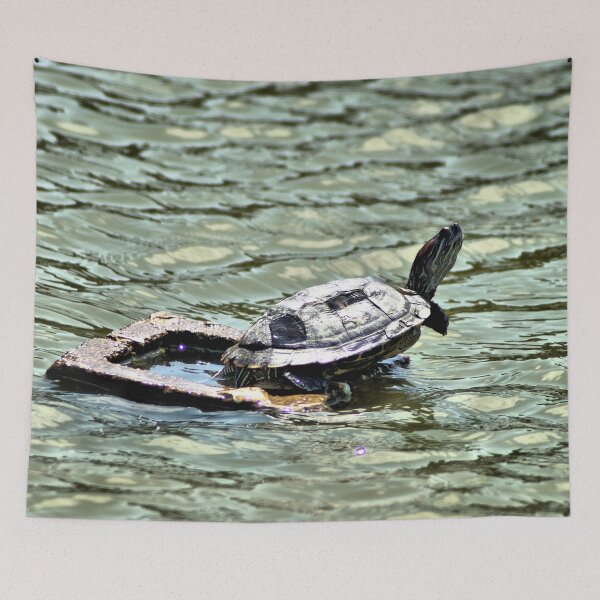 Item preview, Red-eared Sliders Turtle designed and sold by Carla Jensen.