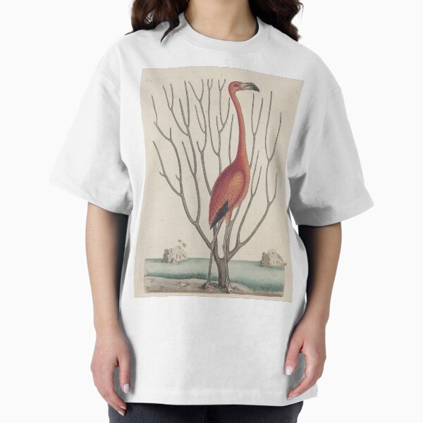 Item preview, Flamingo Vintage Book Print by Mark Catesby, 18th Century designed and sold by Vintage Wall Art.
