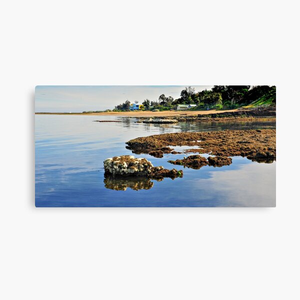 Rickett's Point Beaumaris Canvas Print