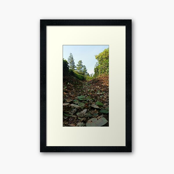 Leafy Path Framed Art Print