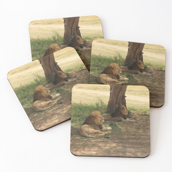 Item preview, Africa, Tanzania, Animals, Big Cat, Leo, Photography, BebiCervin designed and sold by BebiCervin.