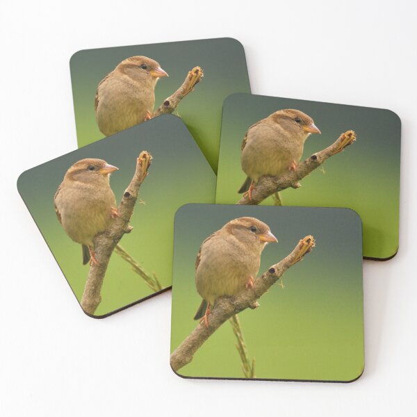 Item preview, Finch designed and sold by Monstermosh37.