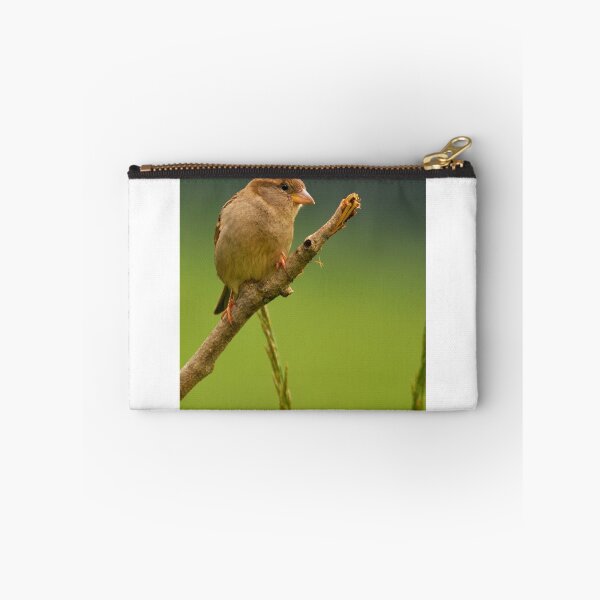 Item preview, Finch designed and sold by Monstermosh37.