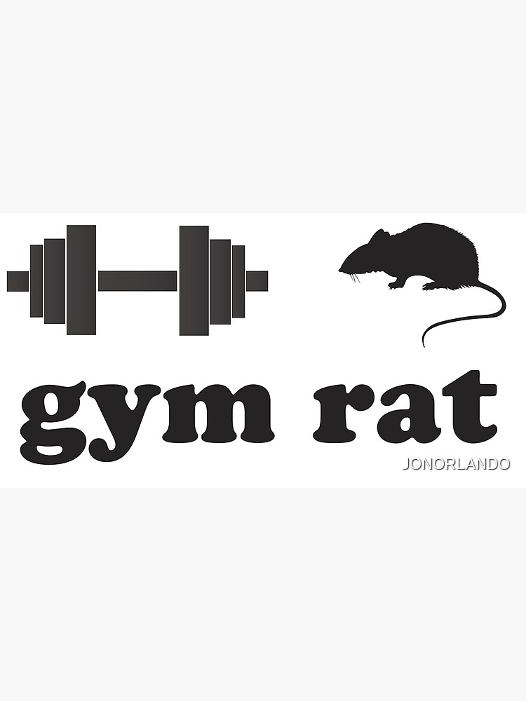 Understanding Gym Rat 
