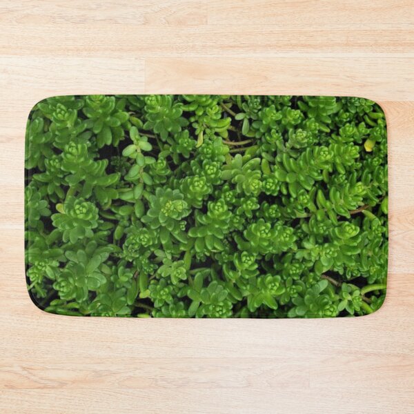 Item preview, Sedum Succulents designed and sold by DonnaM.