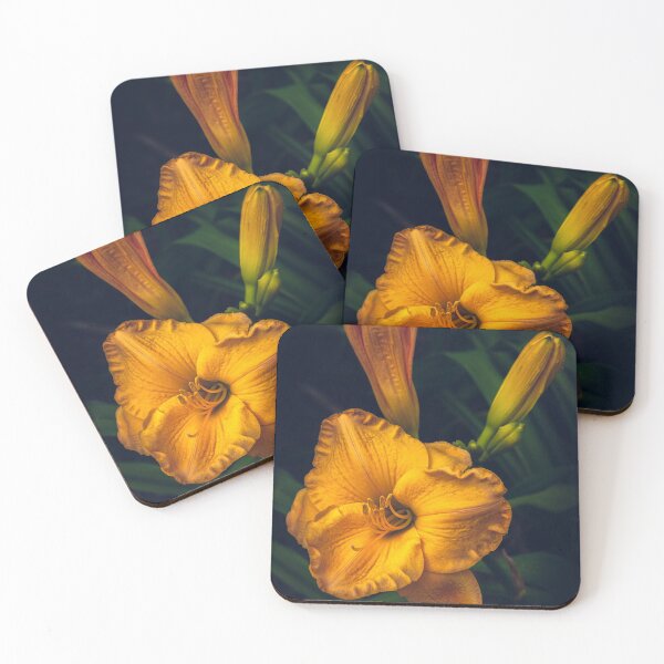 Item preview, Daylily designed and sold by alan shapiro.
