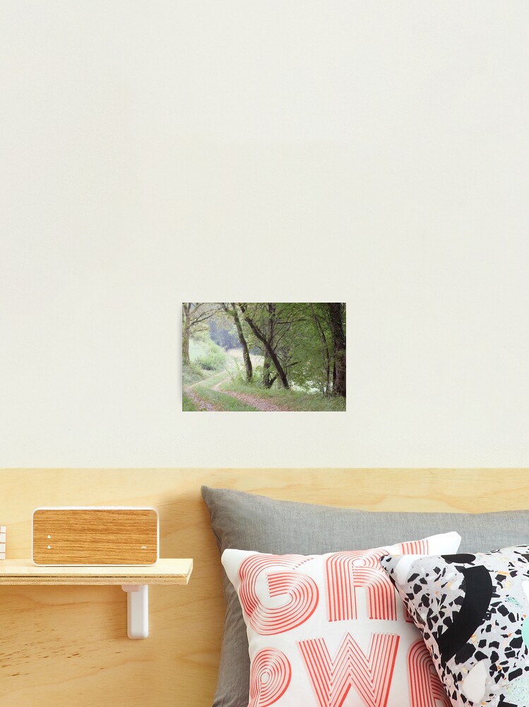 Photographic Print, Morning path designed and sold by Patrick Morand