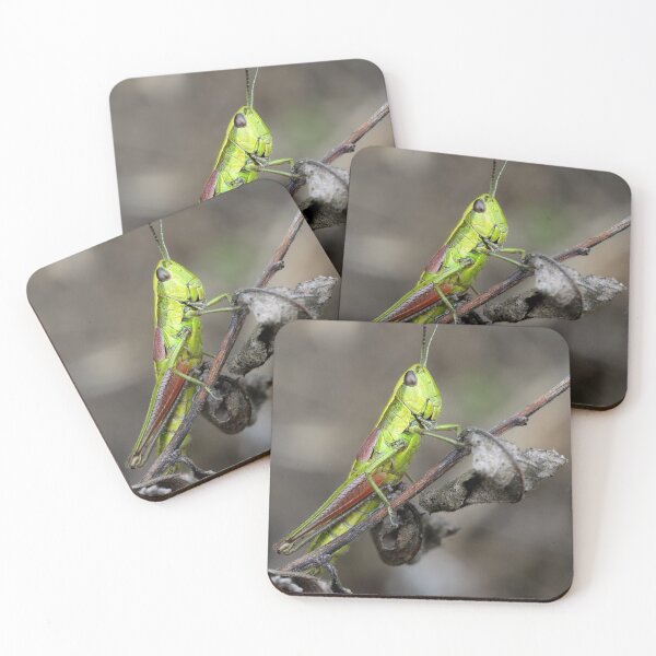 Item preview, Green Grasshopper designed and sold by Monstermosh37.